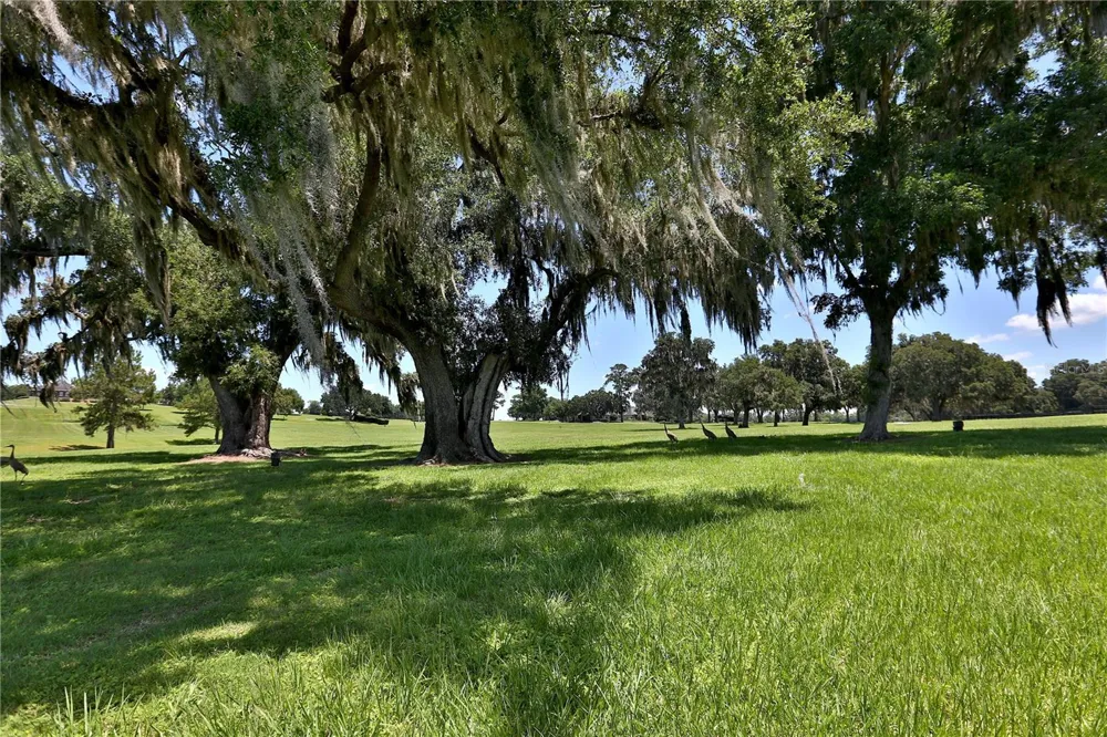 6800 SE 193RD STREET Micanopy, FL 32667