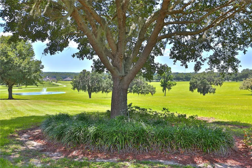 6800 SE 193RD STREET Micanopy, FL 32667