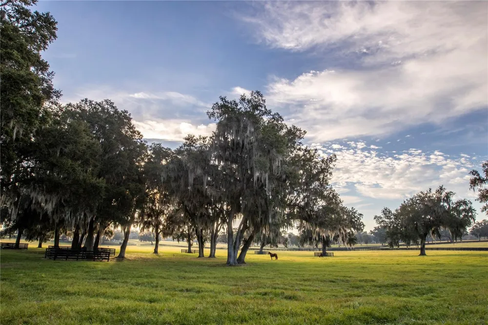 6800 SE 193RD STREET Micanopy, FL 32667