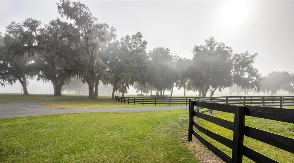 6800 SE 193RD STREET Micanopy, FL 32667