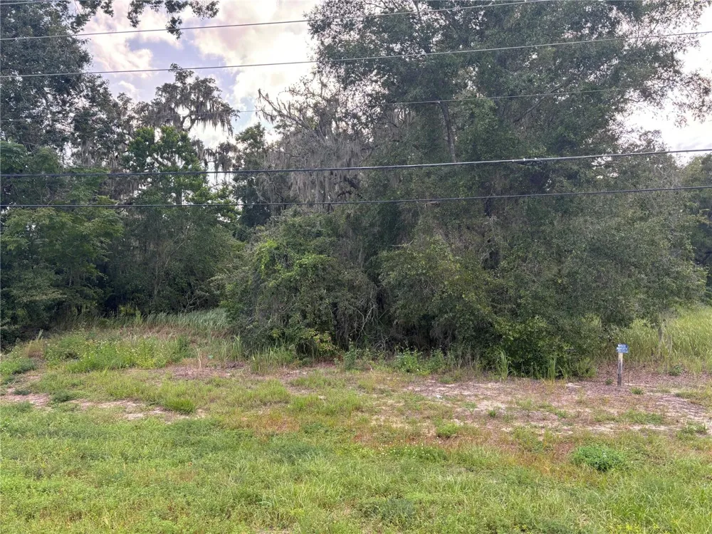 US HWY 301 Belleview, FL 34420