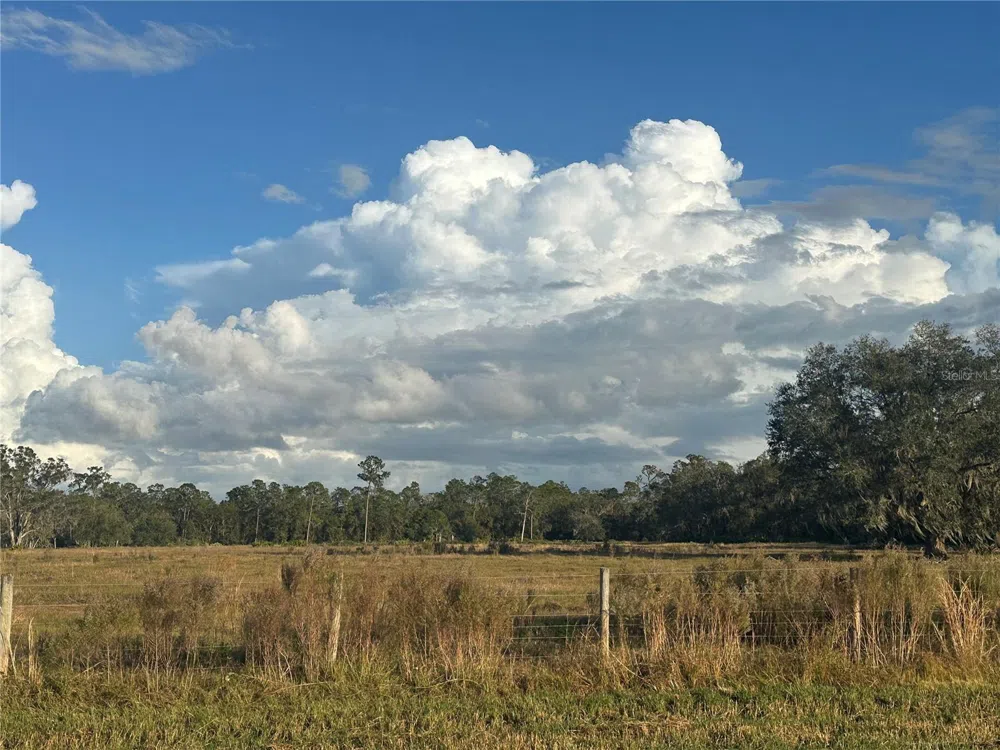 Address Not Shown Wauchula, FL 33873
