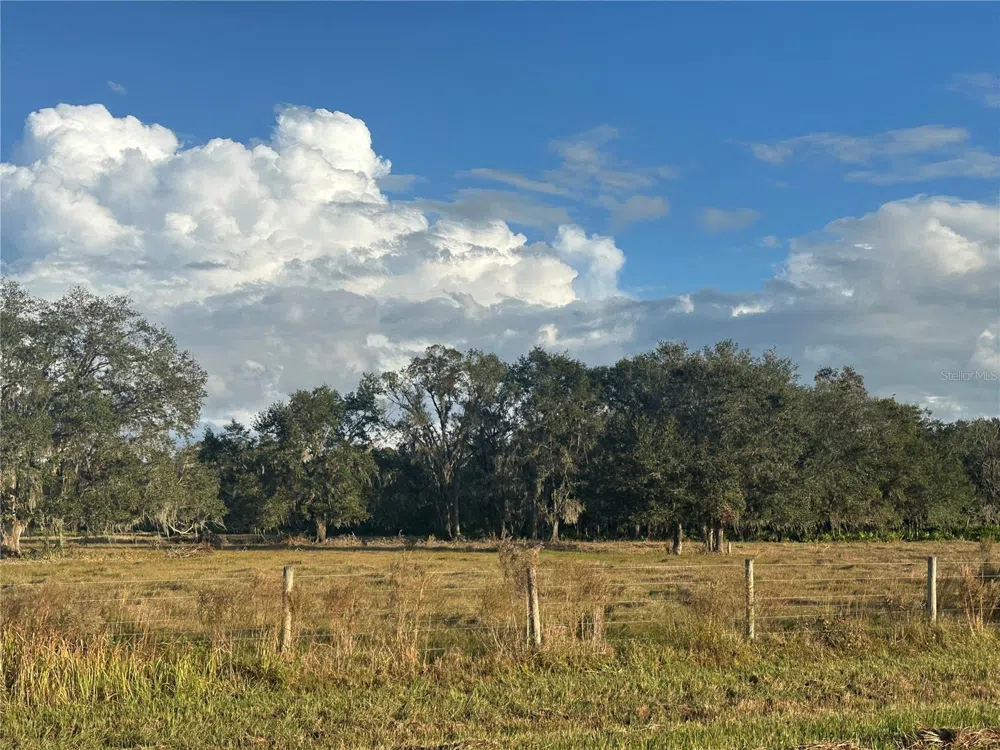 Address Not Shown Wauchula, FL 33873