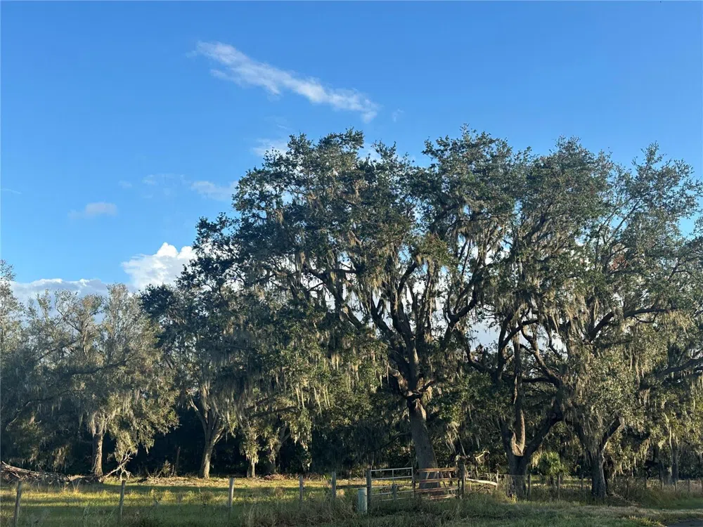 Address Not Shown Wauchula, FL 33873