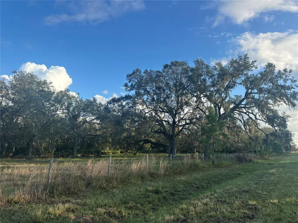Address Not Shown Wauchula, FL 33873