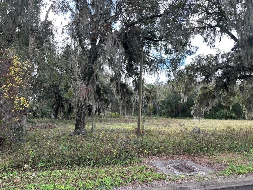 DOYLE ROAD Osteen, FL 32764