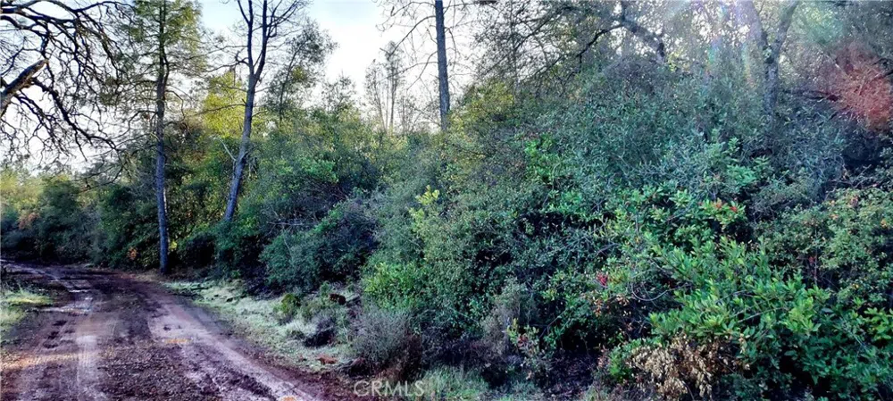 15151 Gray Pine Road Lower Lake, CA 95457