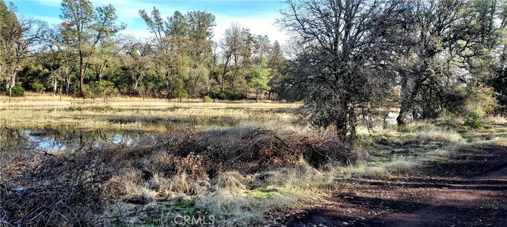 15151 Gray Pine Road Lower Lake, CA 95457