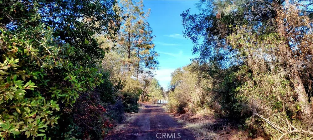 15151 Gray Pine Road Lower Lake, CA 95457