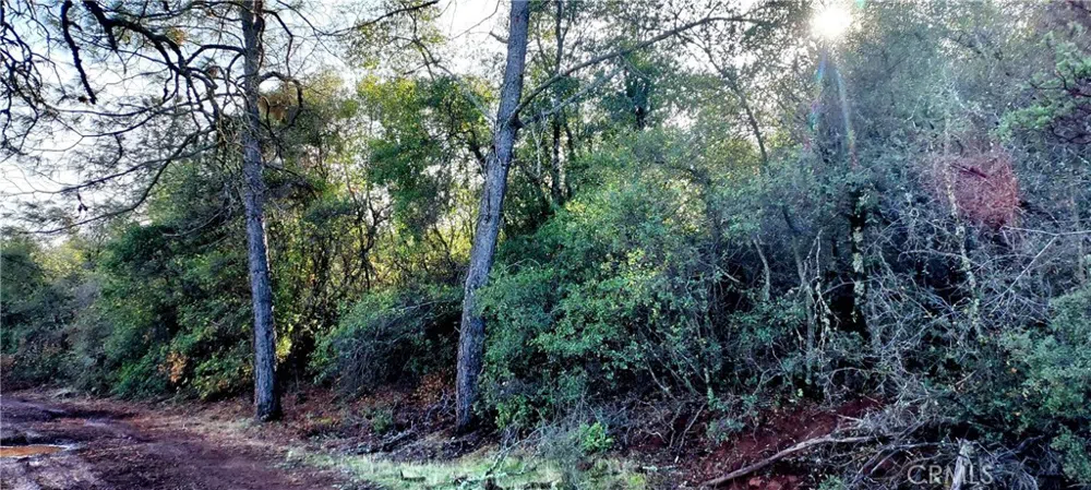 15151 Gray Pine Road Lower Lake, CA 95457