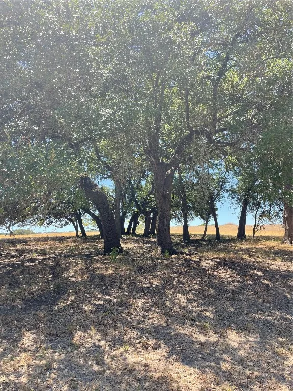 County Road 1320 Lampasas, TX 76550
