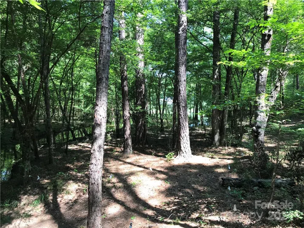 2793 Catawba Road #24 Great Falls, SC 29055
