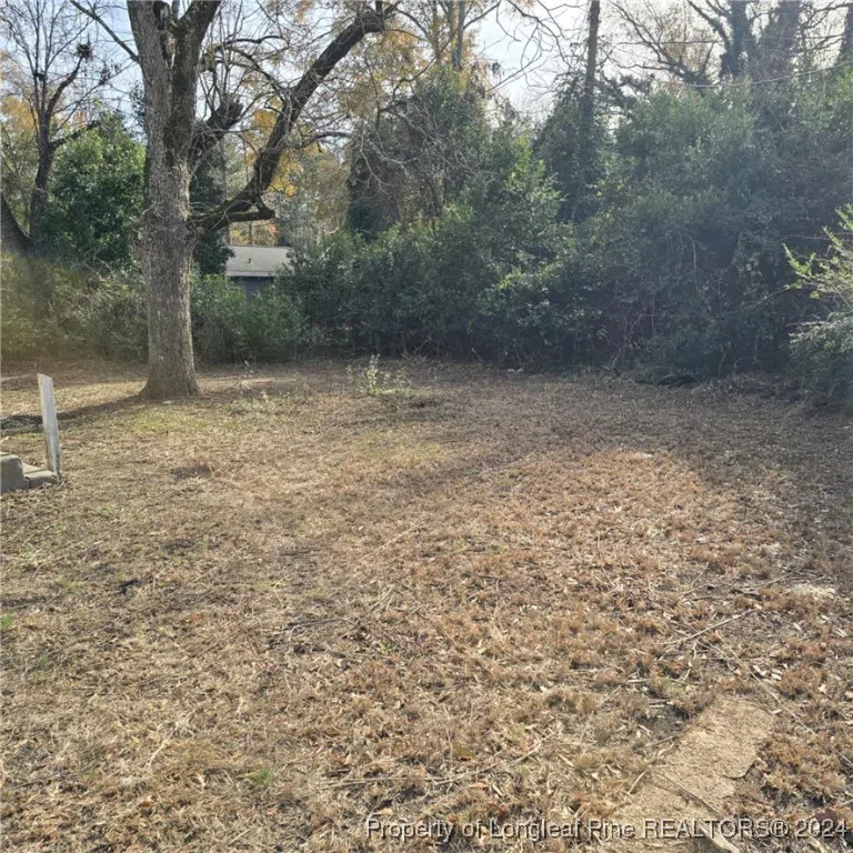 223 E Vance Street Laurinburg, NC 28352