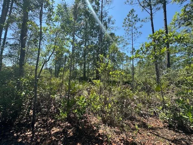 NINEMILE POINT ROAD Pierson, FL 32180
