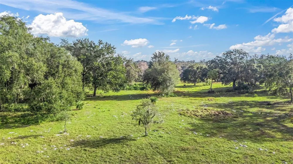 TRACT 3 - CR 221 Wildwood, FL 34785