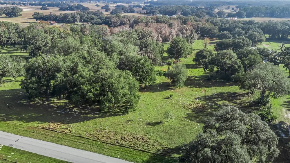 TRACT 3 - CR 221 Wildwood, FL 34785