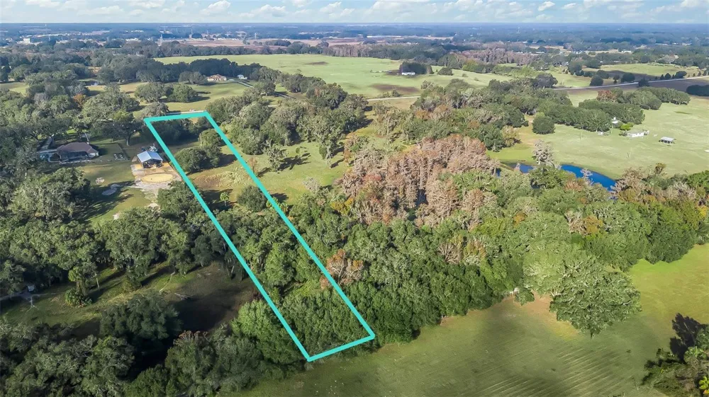 TRACT 3 - CR 221 Wildwood, FL 34785