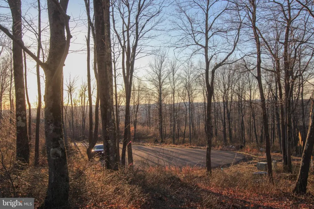 FOX RUN DR Mc Henry, MD 21541