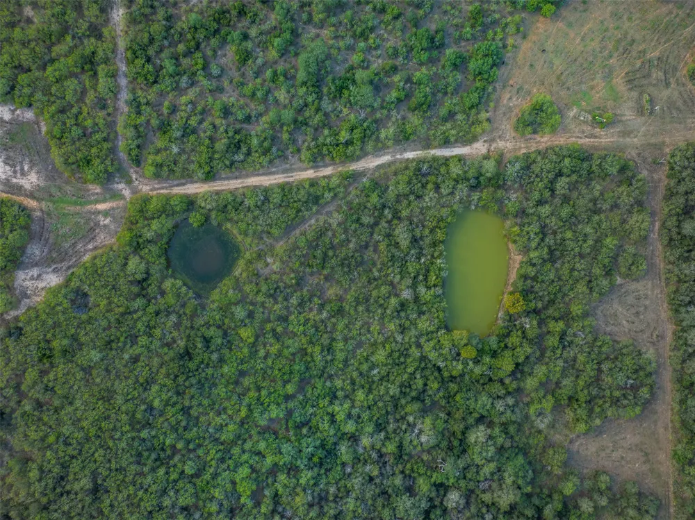 399 Seals Creek Road Lockhart, TX 78644
