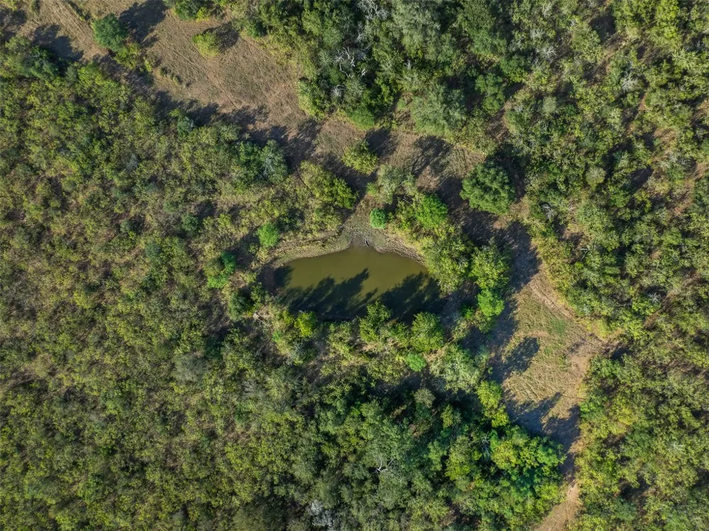 399 Seals Creek Road Lockhart, TX 78644