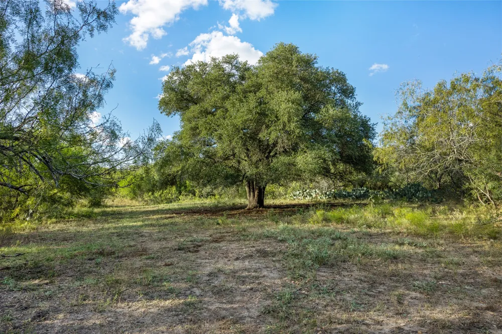 399 Seals Creek Road Lockhart, TX 78644