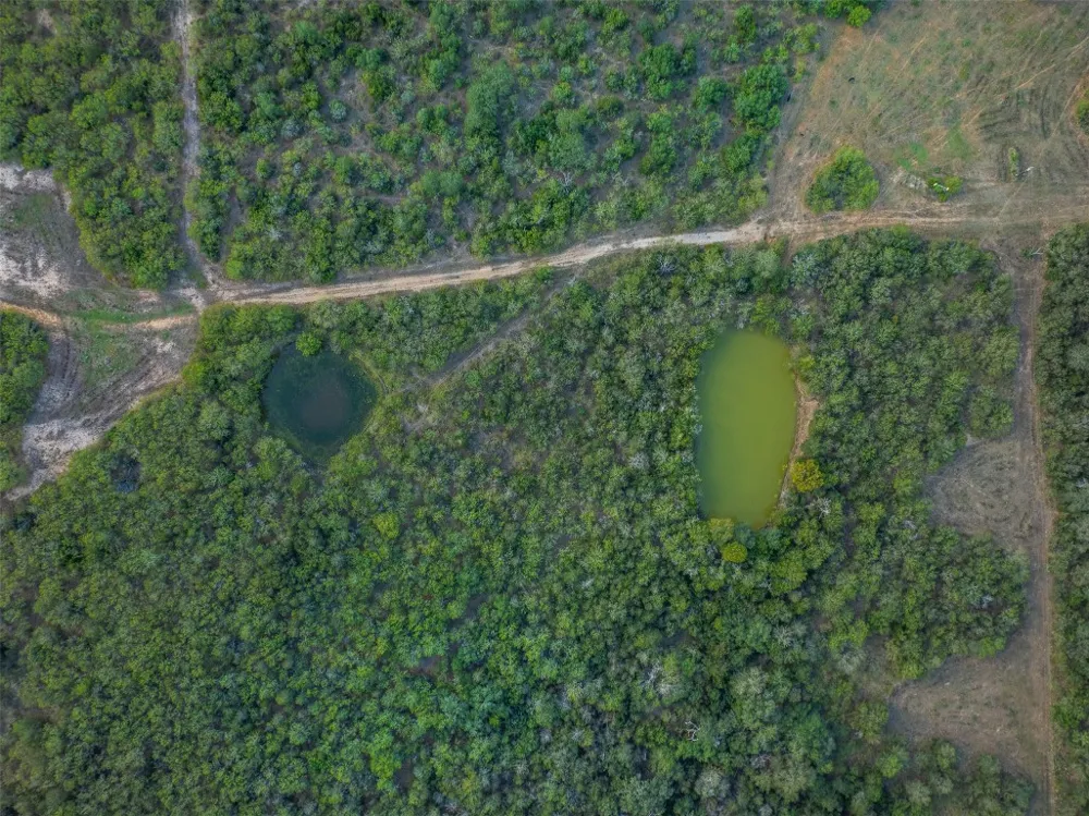 399 Seals Creek Road Lockhart, TX 78644