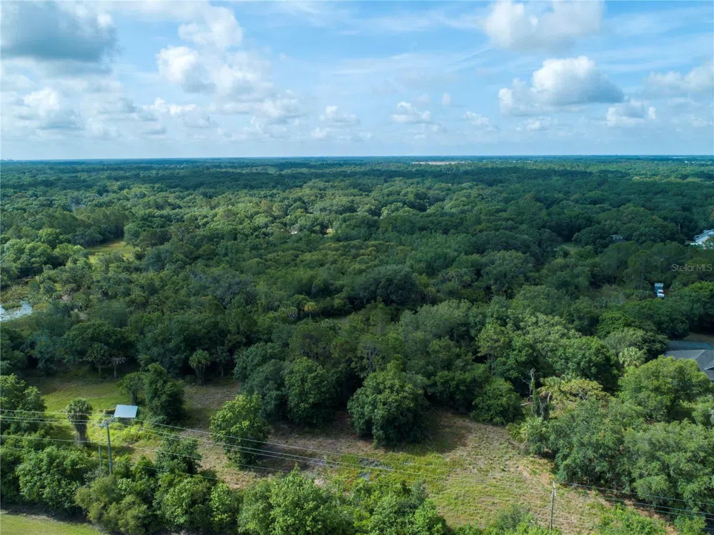 LIGHTFOOT ROAD Wimauma, FL 33598
