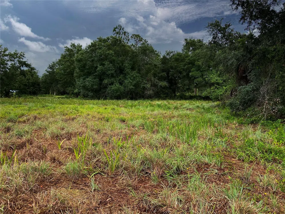 LIGHTFOOT ROAD Wimauma, FL 33598