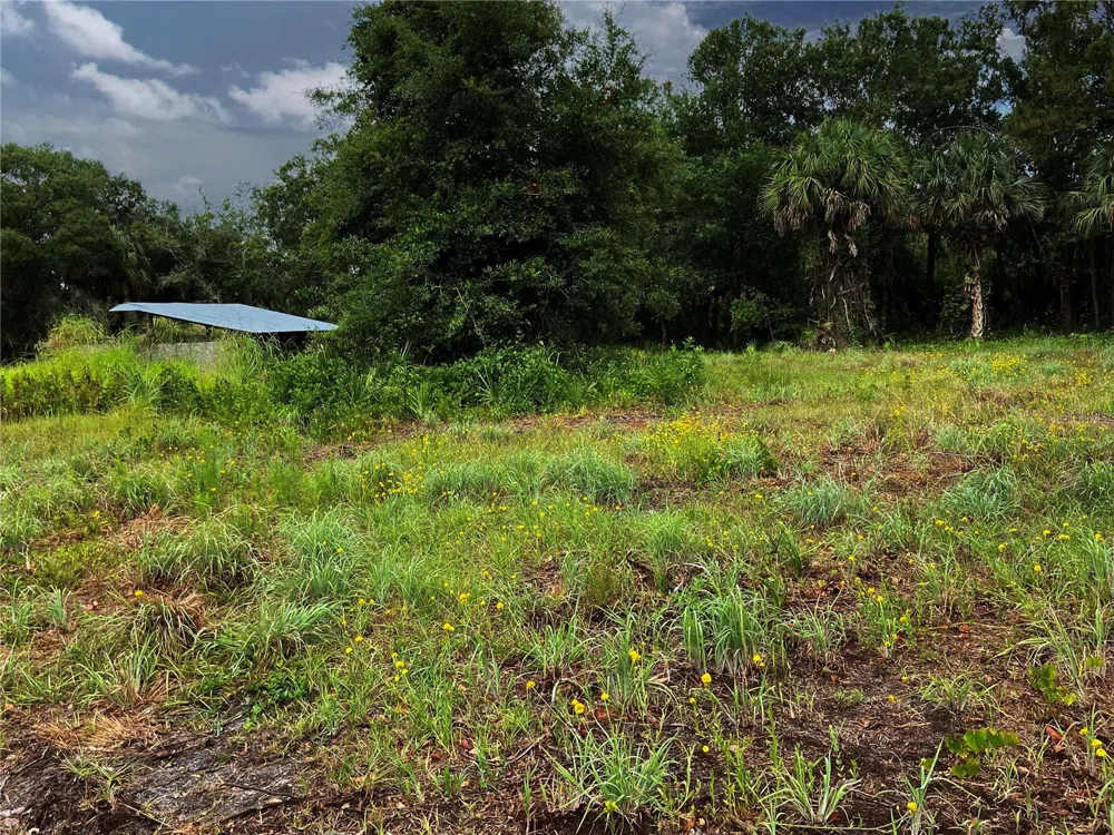 LIGHTFOOT ROAD Wimauma, FL 33598