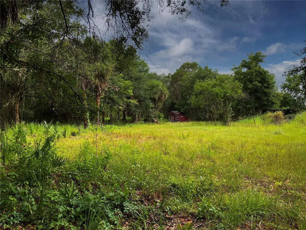 LIGHTFOOT ROAD Wimauma, FL 33598
