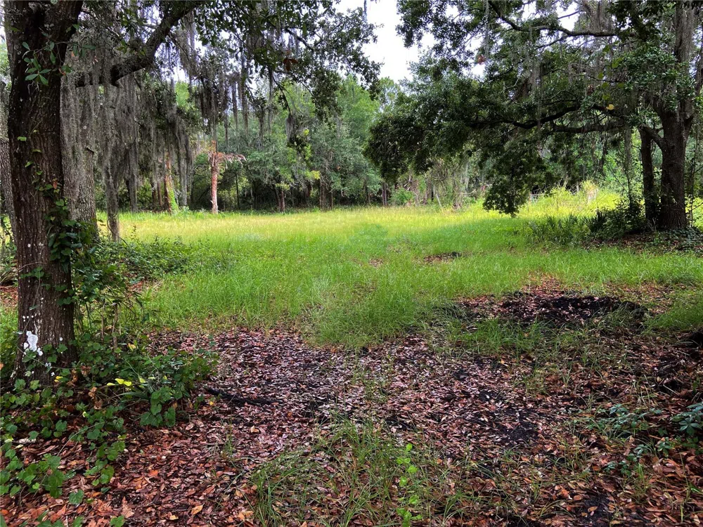 LIGHTFOOT ROAD Wimauma, FL 33598