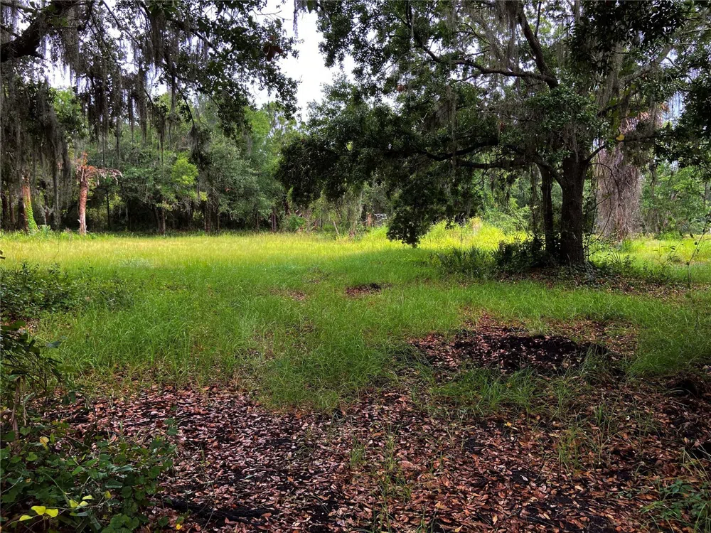LIGHTFOOT ROAD Wimauma, FL 33598