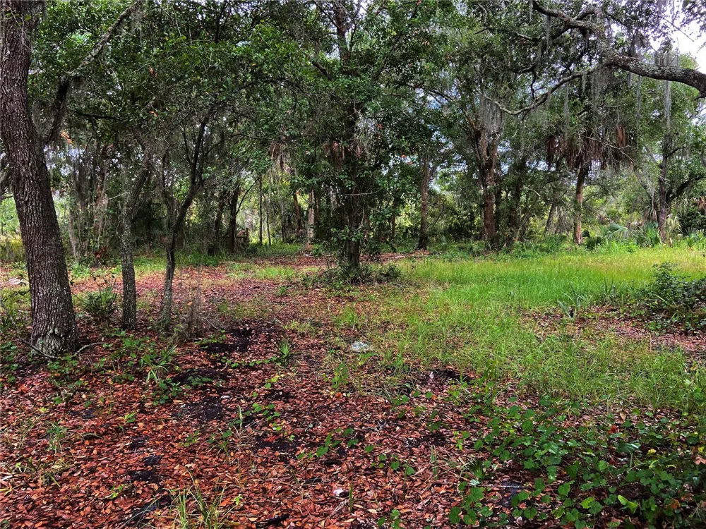 LIGHTFOOT ROAD Wimauma, FL 33598