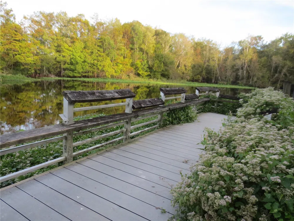 17935 SE 10TH PLACE Silver Springs, FL 34488