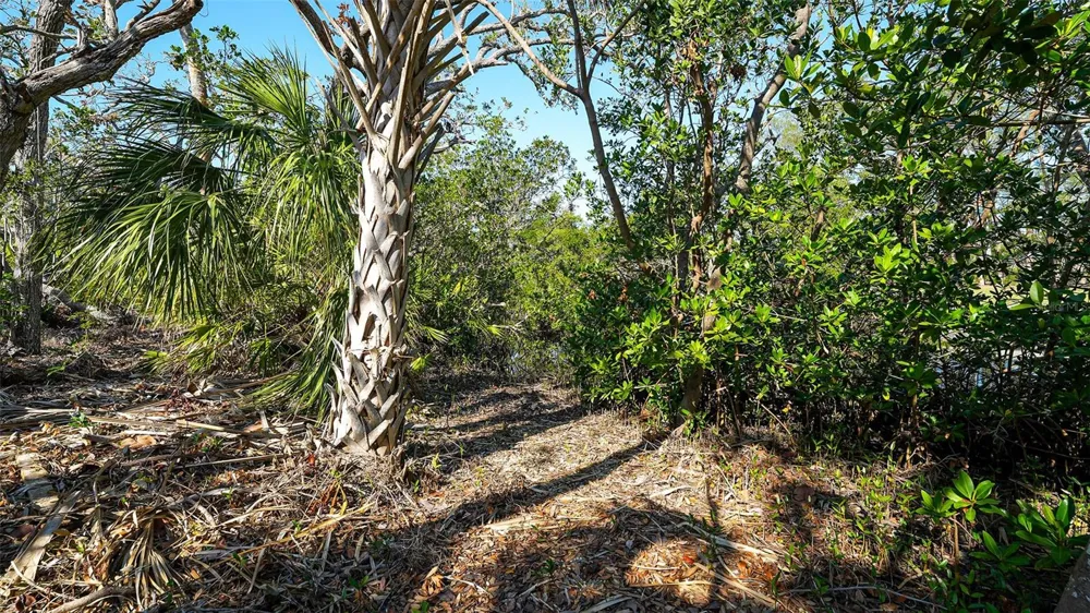 660 LONGVIEW DRIVE Longboat Key, FL 34228