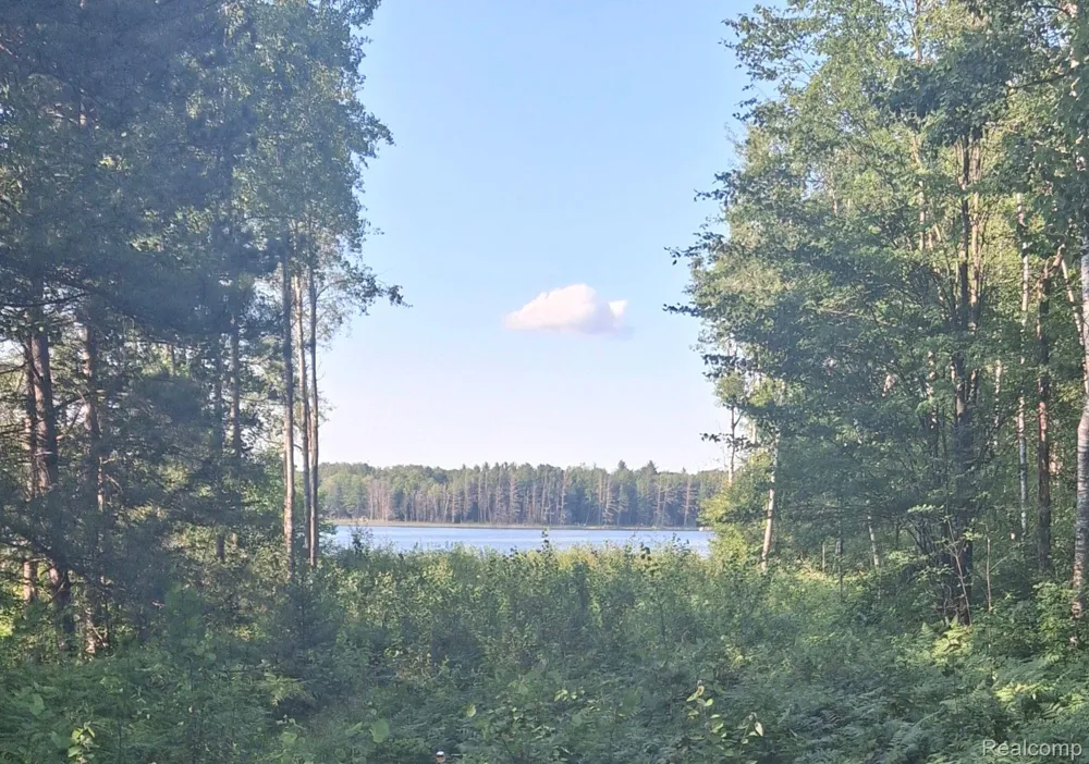 BREEZEWOOD DRIVE Mancelona Township, MI 49659