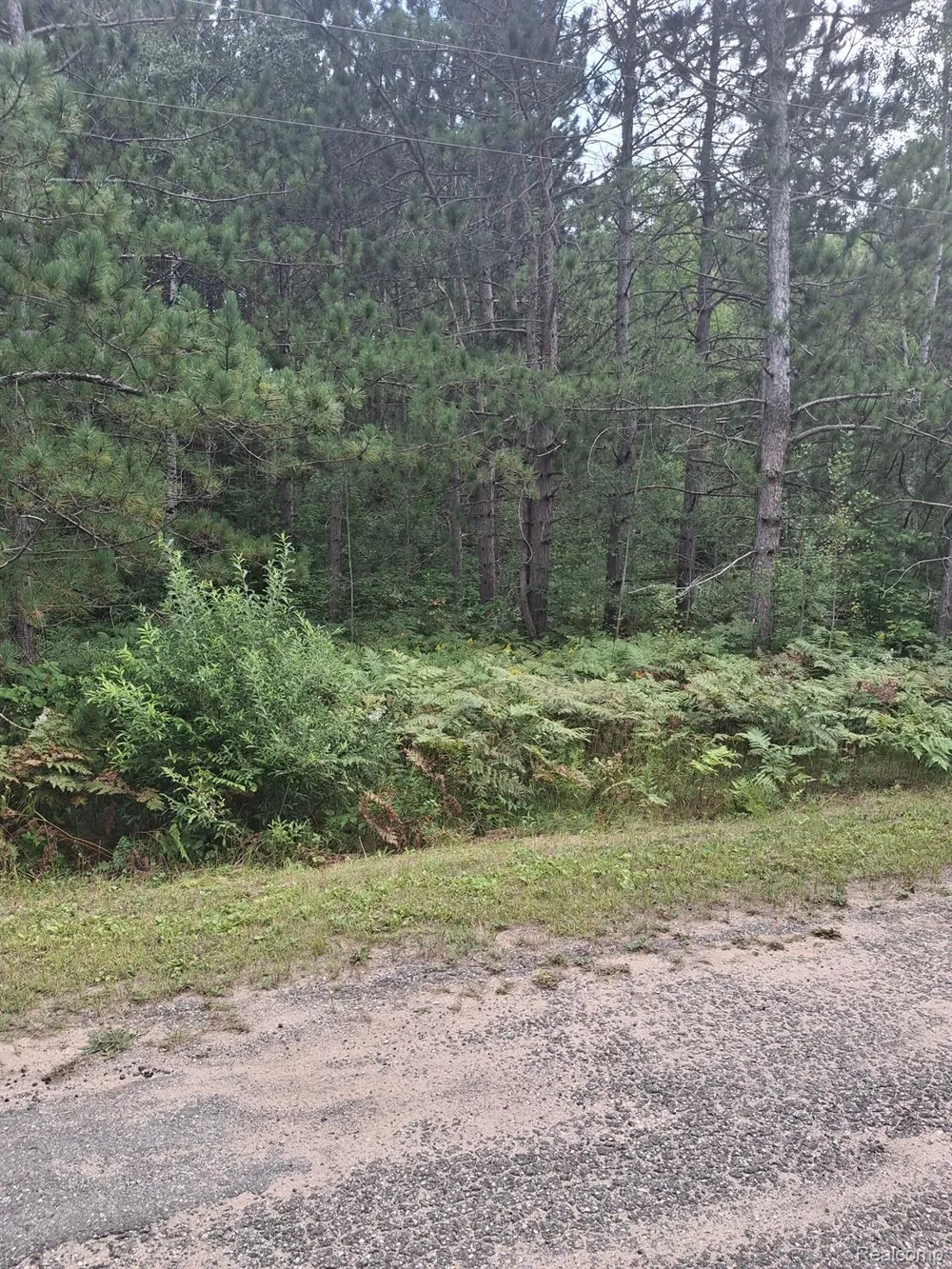 BREEZEWOOD DRIVE Mancelona Township, MI 49659