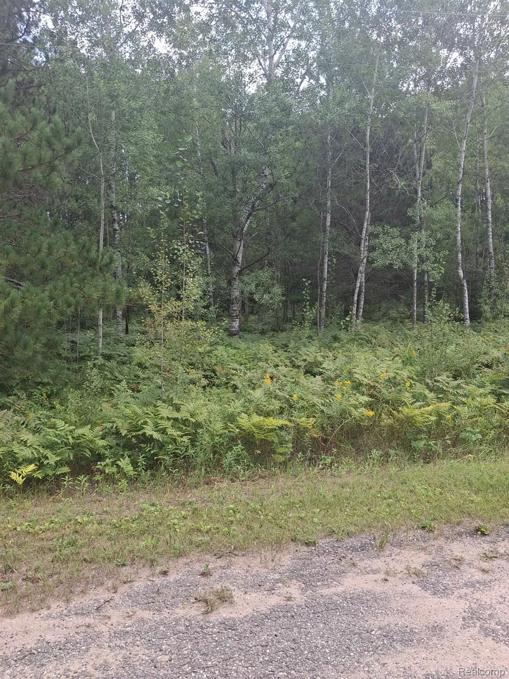 BREEZEWOOD DRIVE Mancelona Township, MI 49659