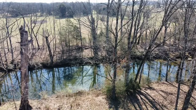 1 Pyles Rd Chapel Hill, TN 37034