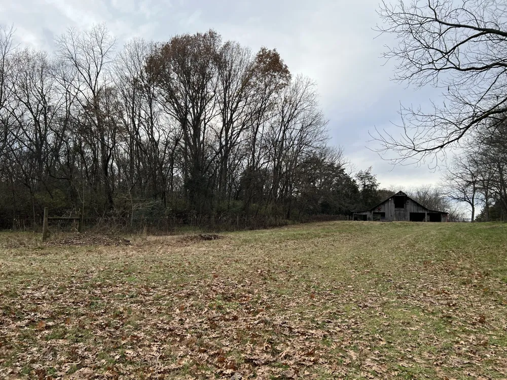 1 Pyles Rd Chapel Hill, TN 37034