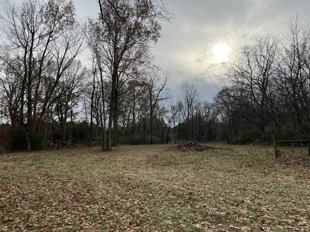 1 Pyles Rd Chapel Hill, TN 37034