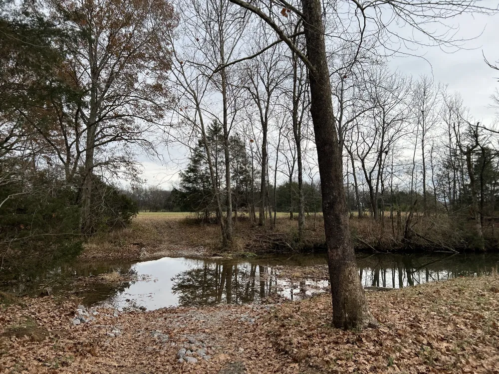 1 Pyles Rd Chapel Hill, TN 37034