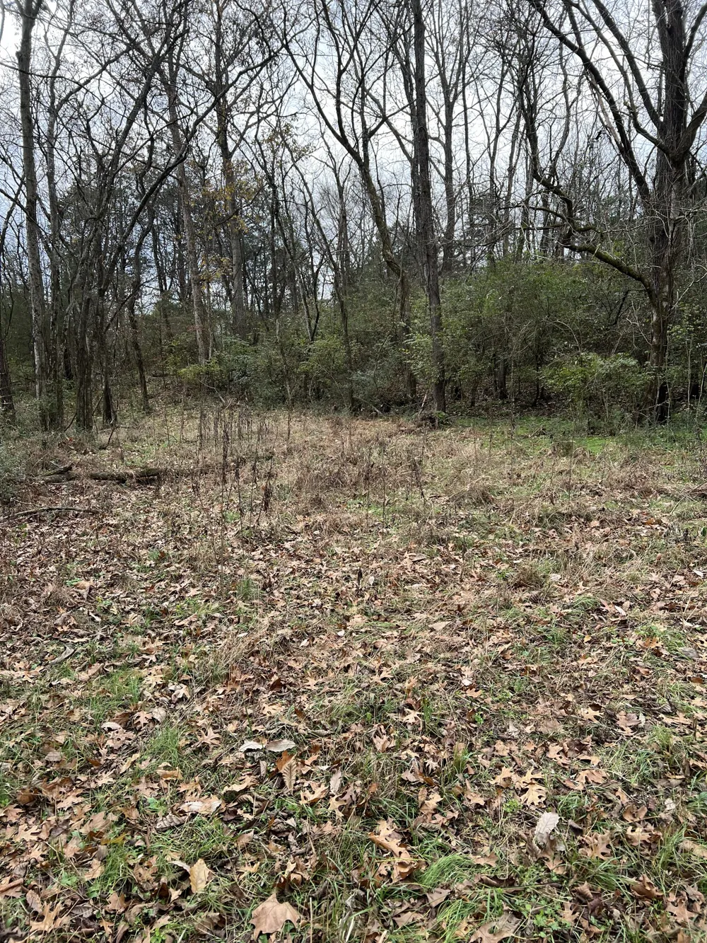 1 Pyles Rd Chapel Hill, TN 37034