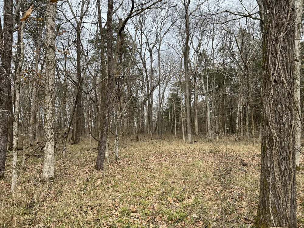 1 Pyles Rd Chapel Hill, TN 37034