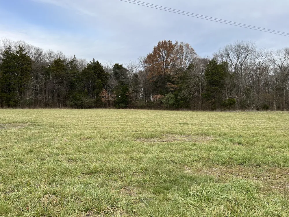 1 Pyles Rd Chapel Hill, TN 37034