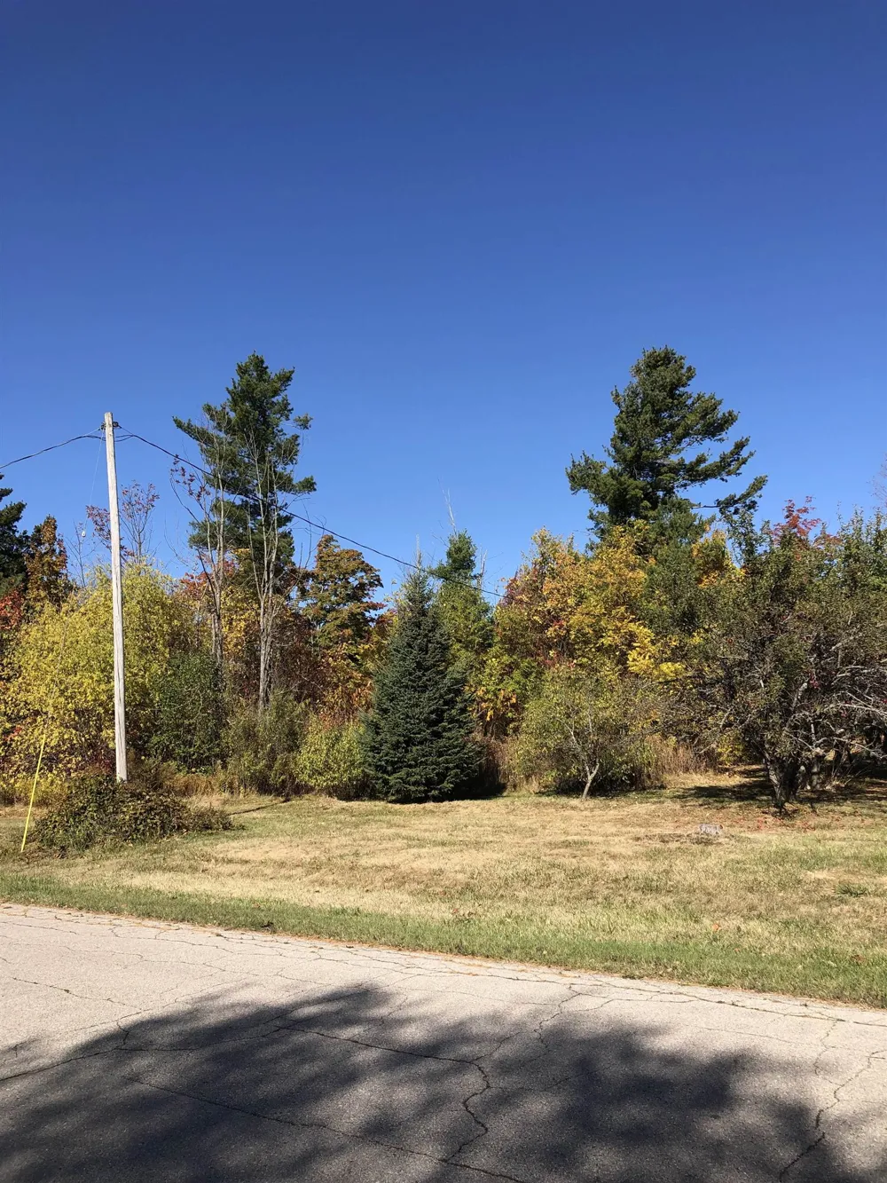 Lamoreaux Drive Elk Rapids Township, MI 49629