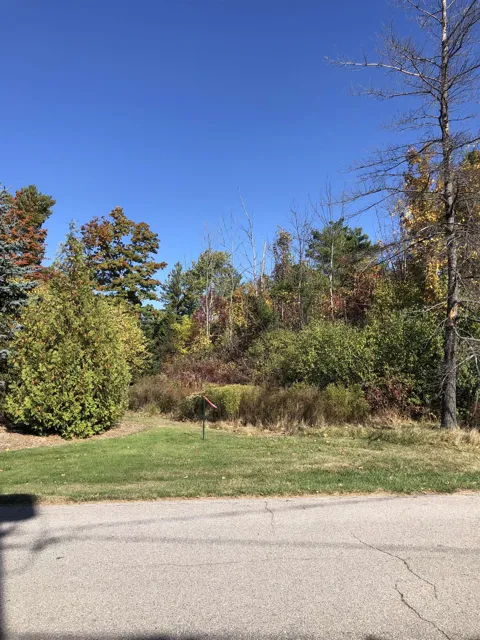 Lamoreaux Drive