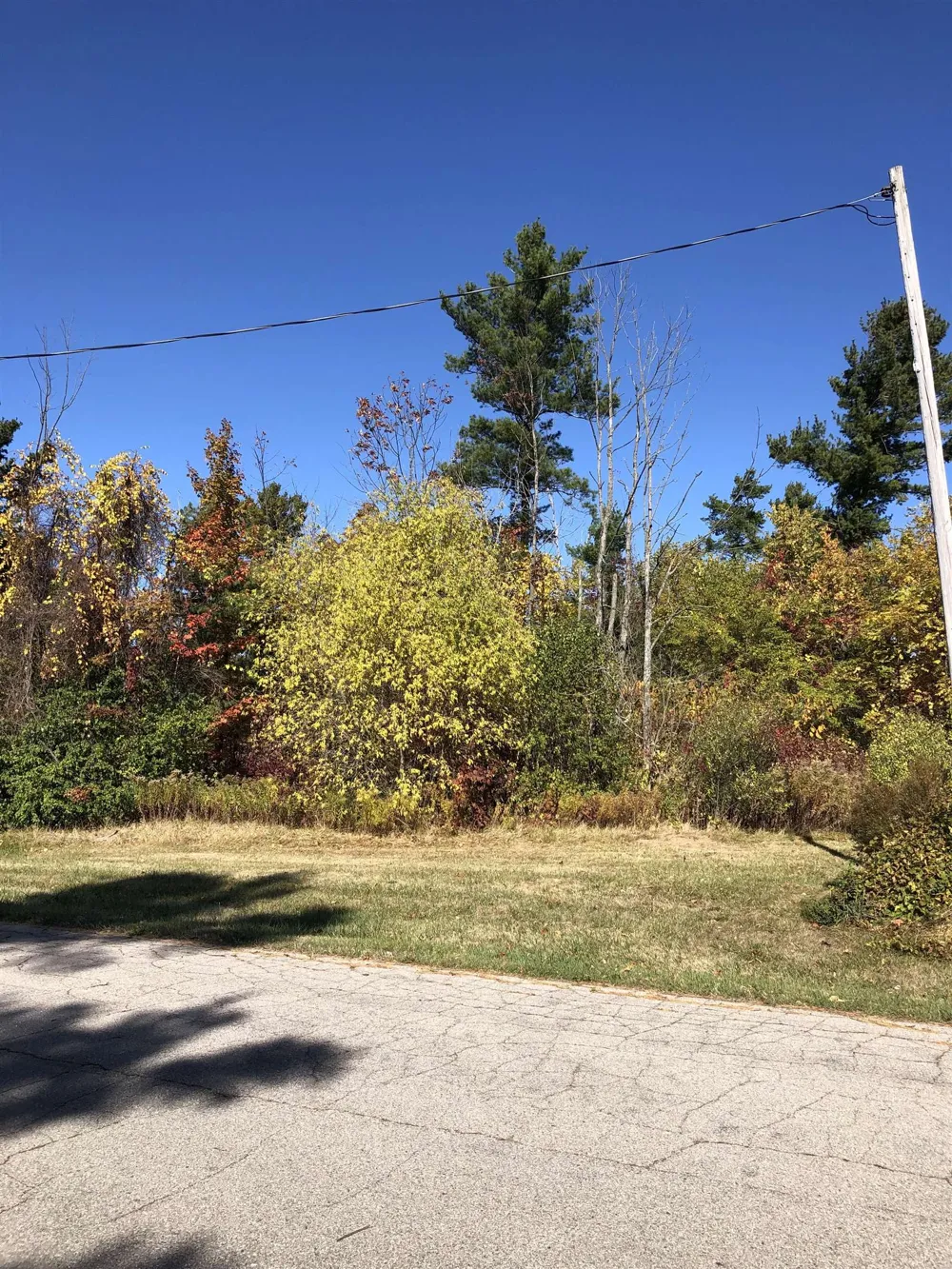 Lamoreaux Drive Elk Rapids Township, MI 49629