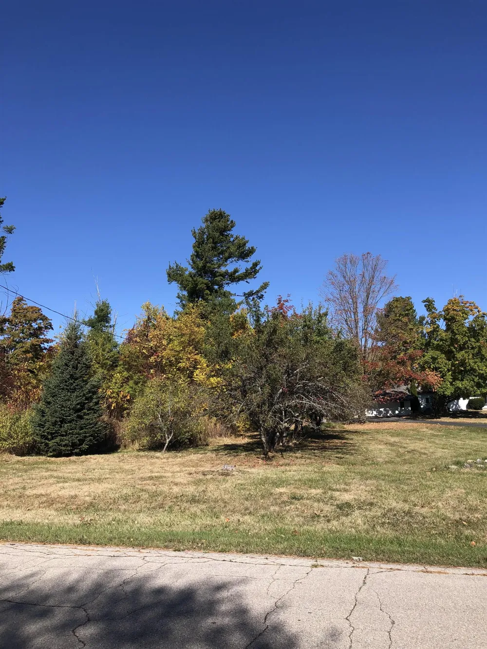 Lamoreaux Drive Elk Rapids Township, MI 49629