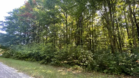 Northwood Drive